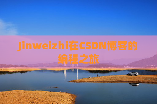 Jinweizhi在CSDN博客的编程之旅